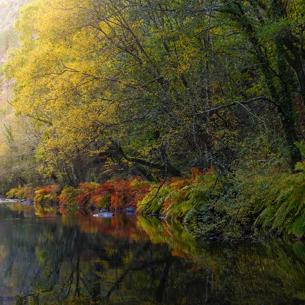 Río Eo cerca de A Pontenova